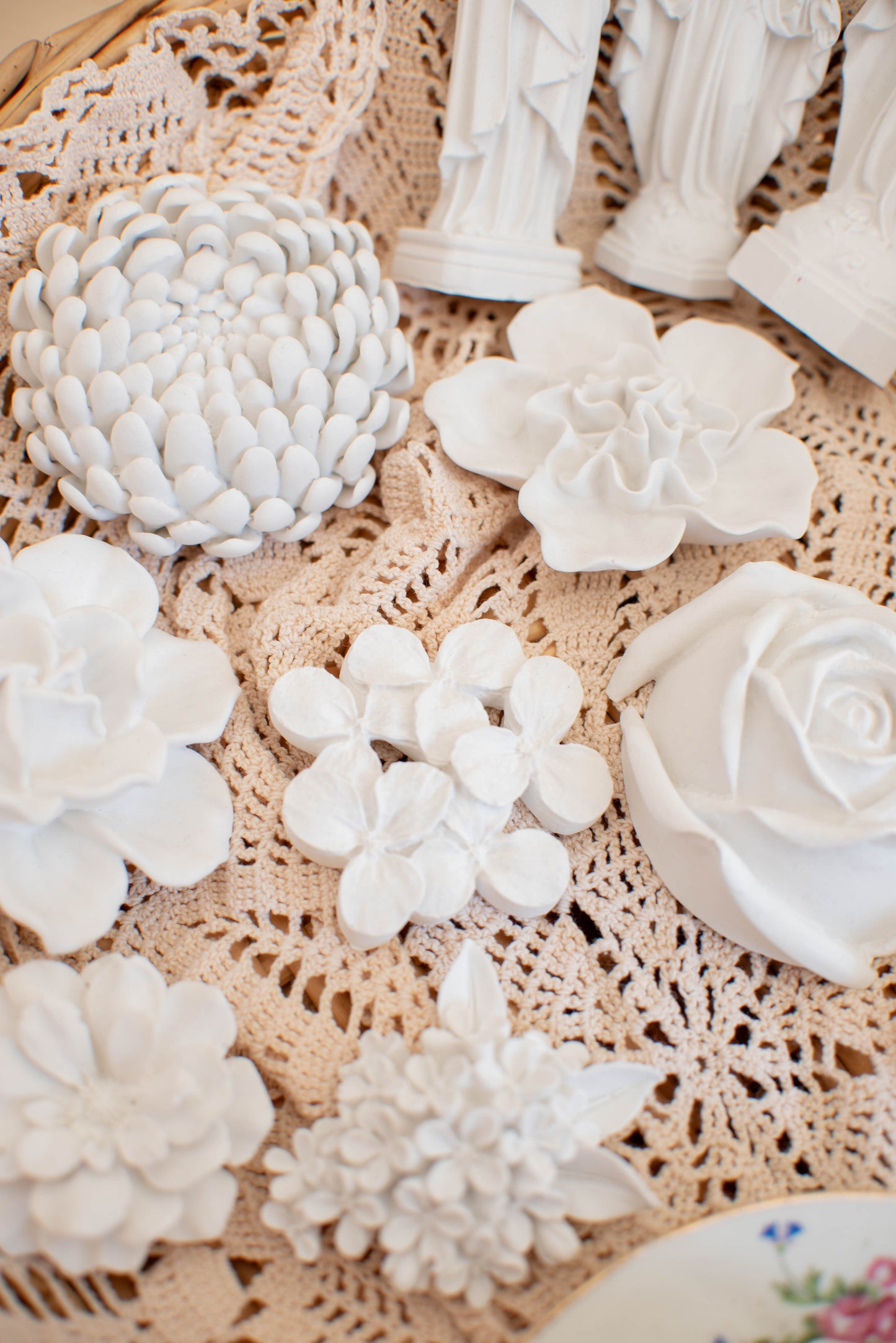 Hortensia - Petit