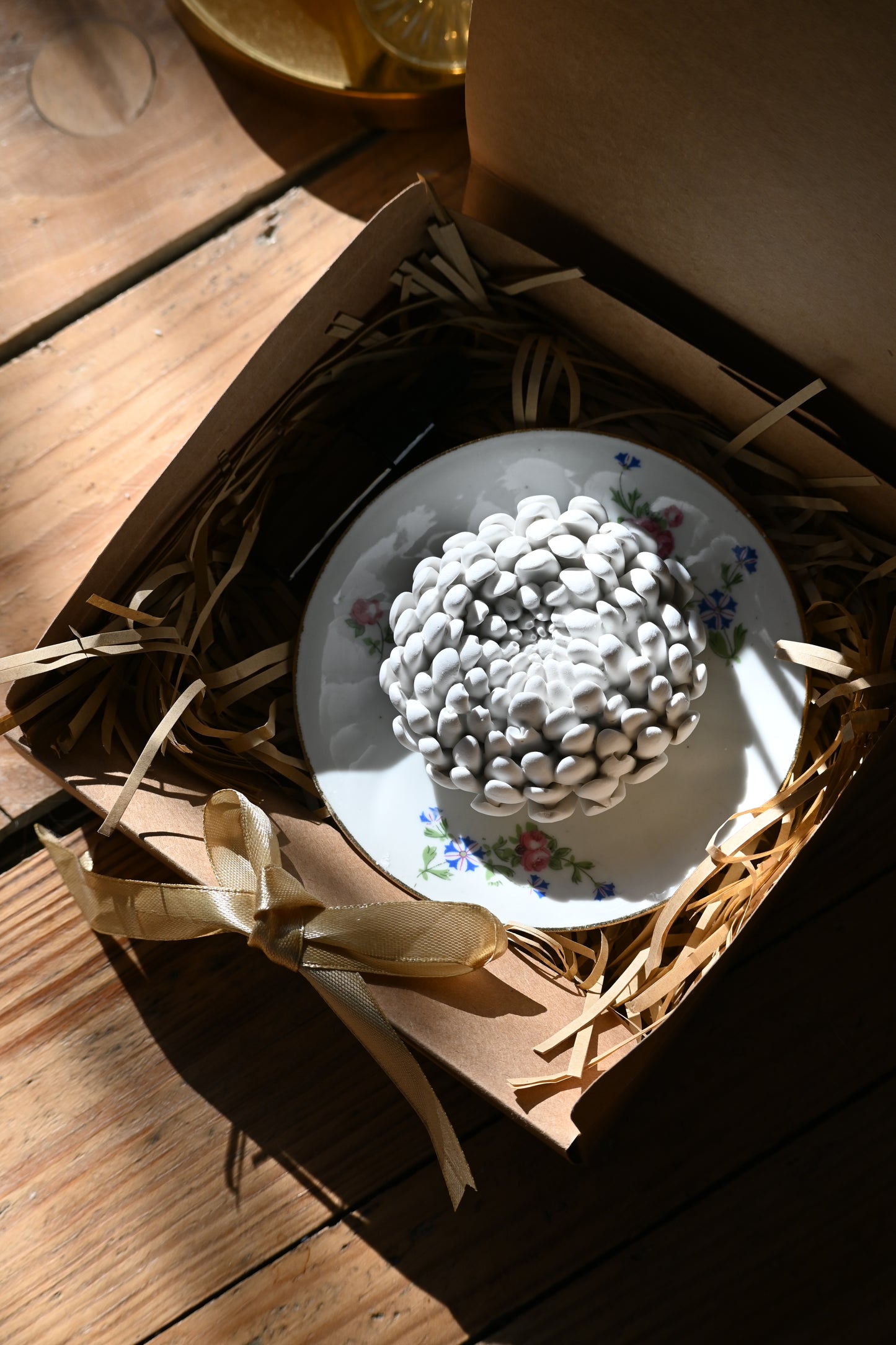 Chrysanthème - Moyen