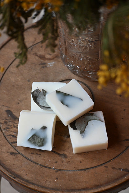 Fondant Eucalyptus