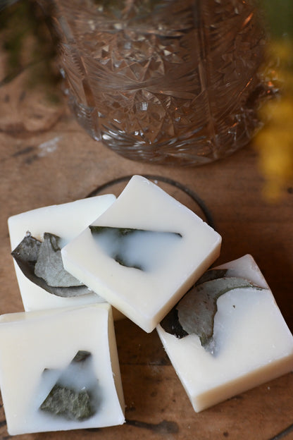 Fondant Eucalyptus