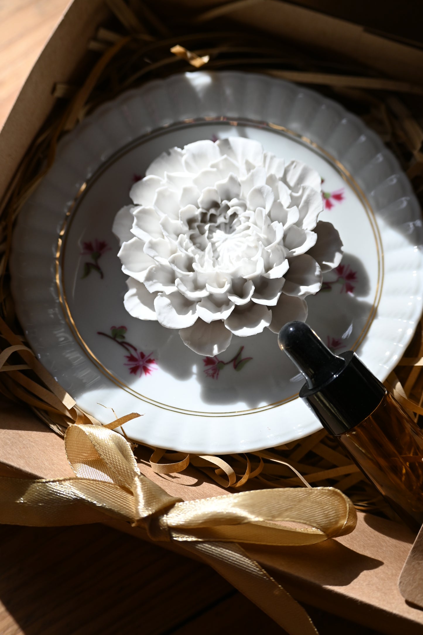 Dahlia - Moyen