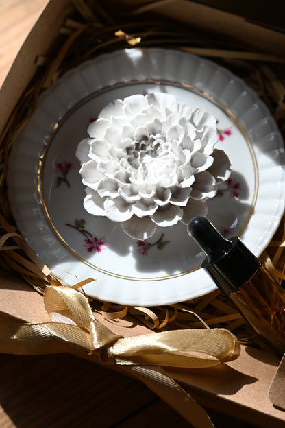 Dahlia - Moyen