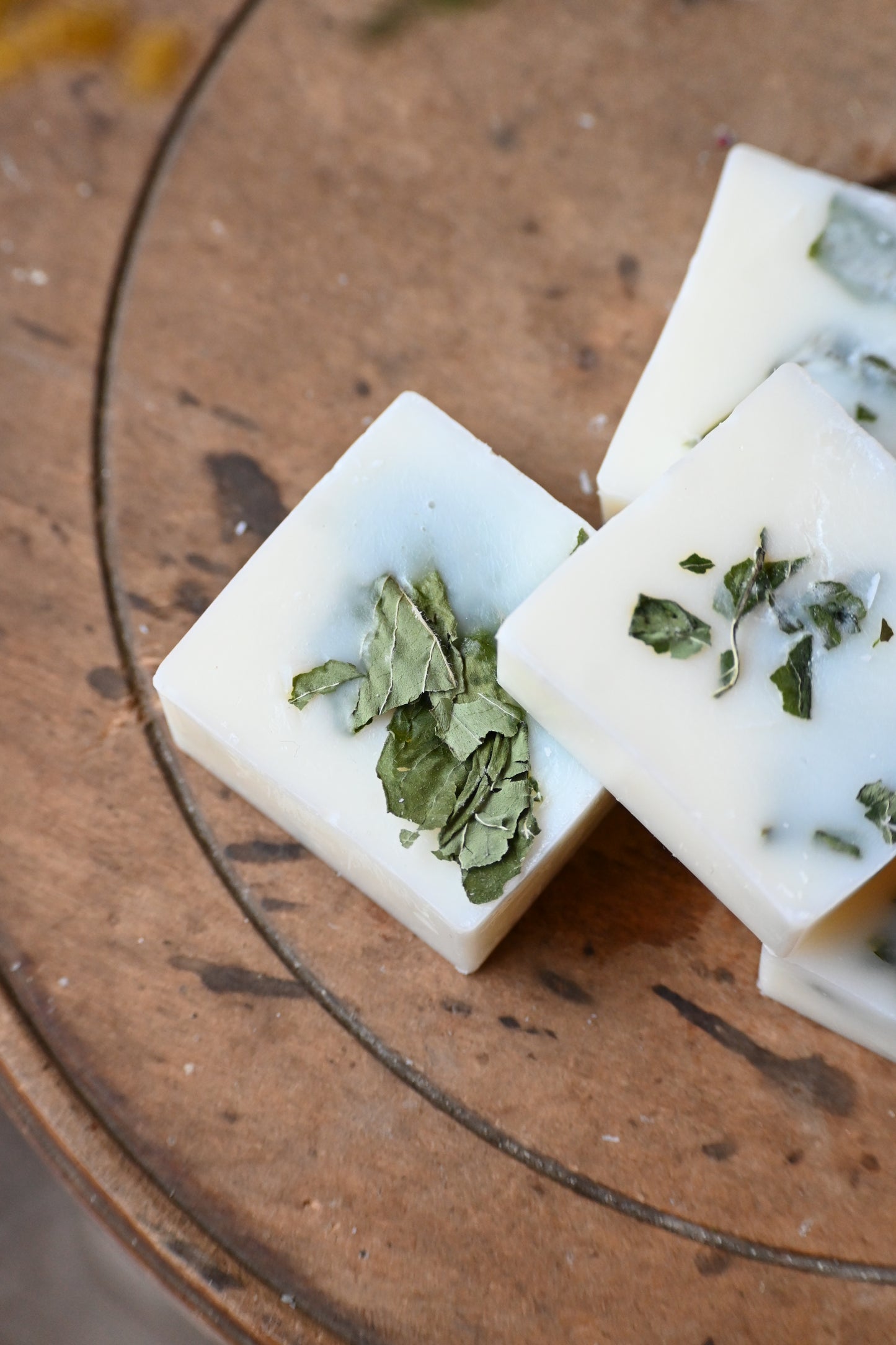 Fondant Menthe-Basilic