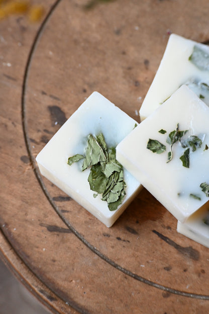 Fondant Menthe-Basilic