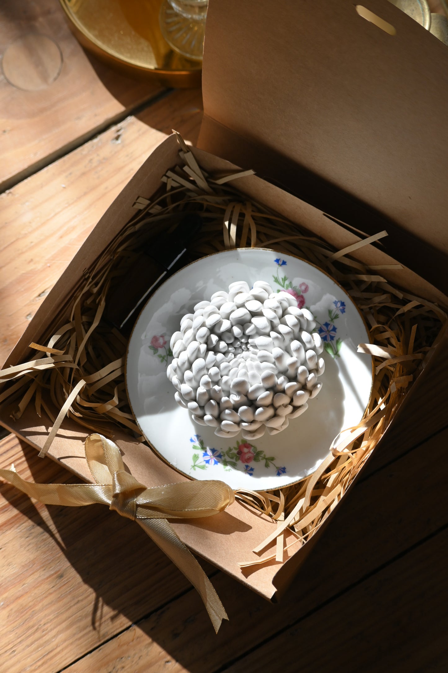 Chrysanthème - Moyen