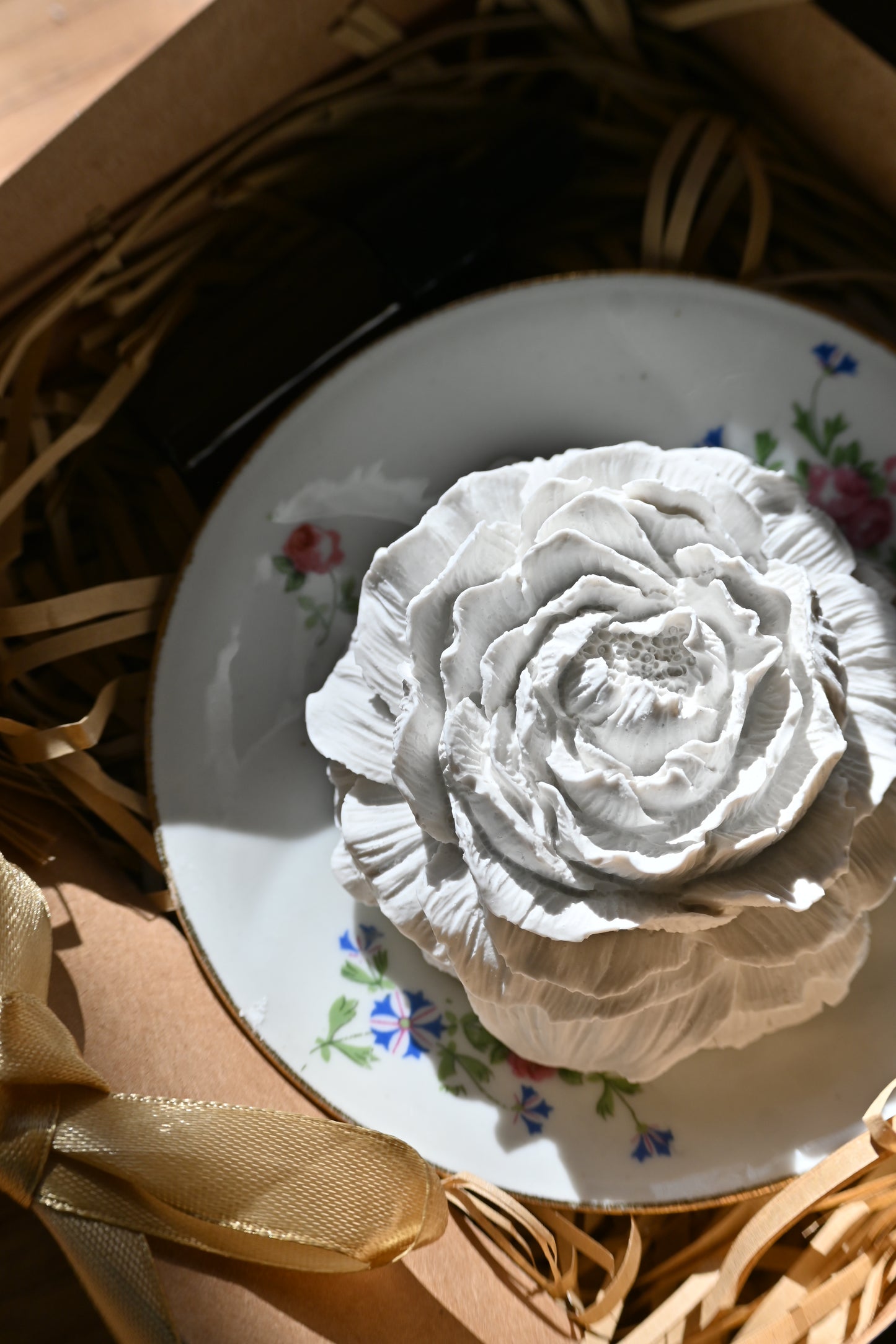 Pivoine - Moyen
