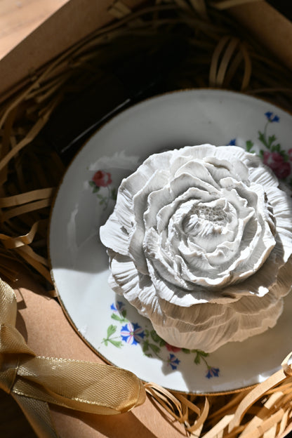 Pivoine - Moyen