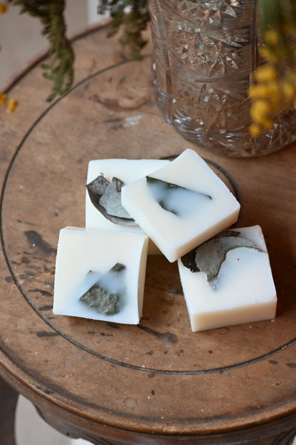 Fondant Eucalyptus