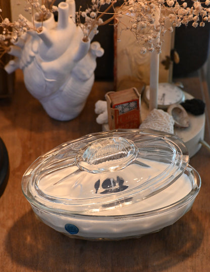 Grande boite en verre