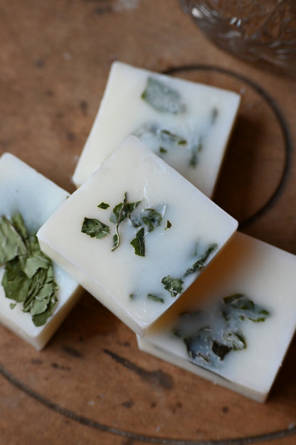 Fondant Menthe-Basilic