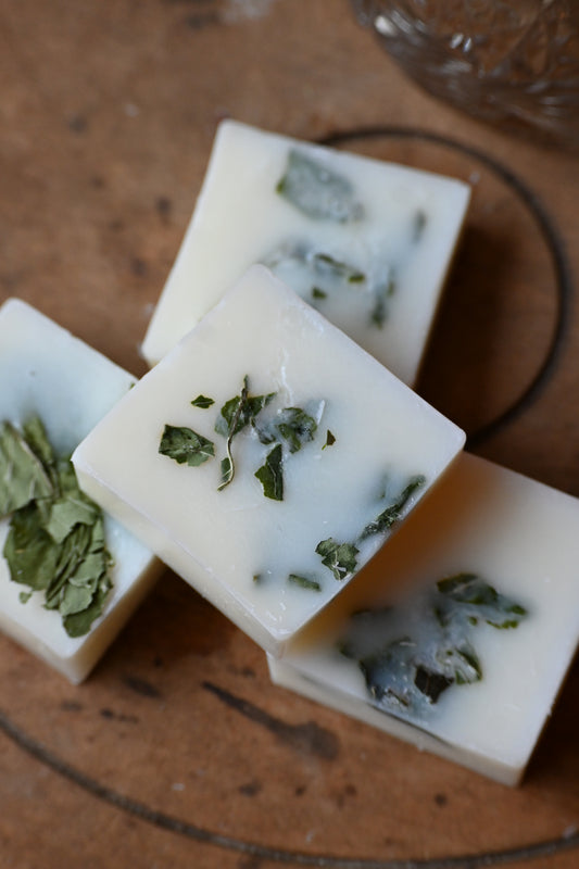 Fondant Menthe-Basilic